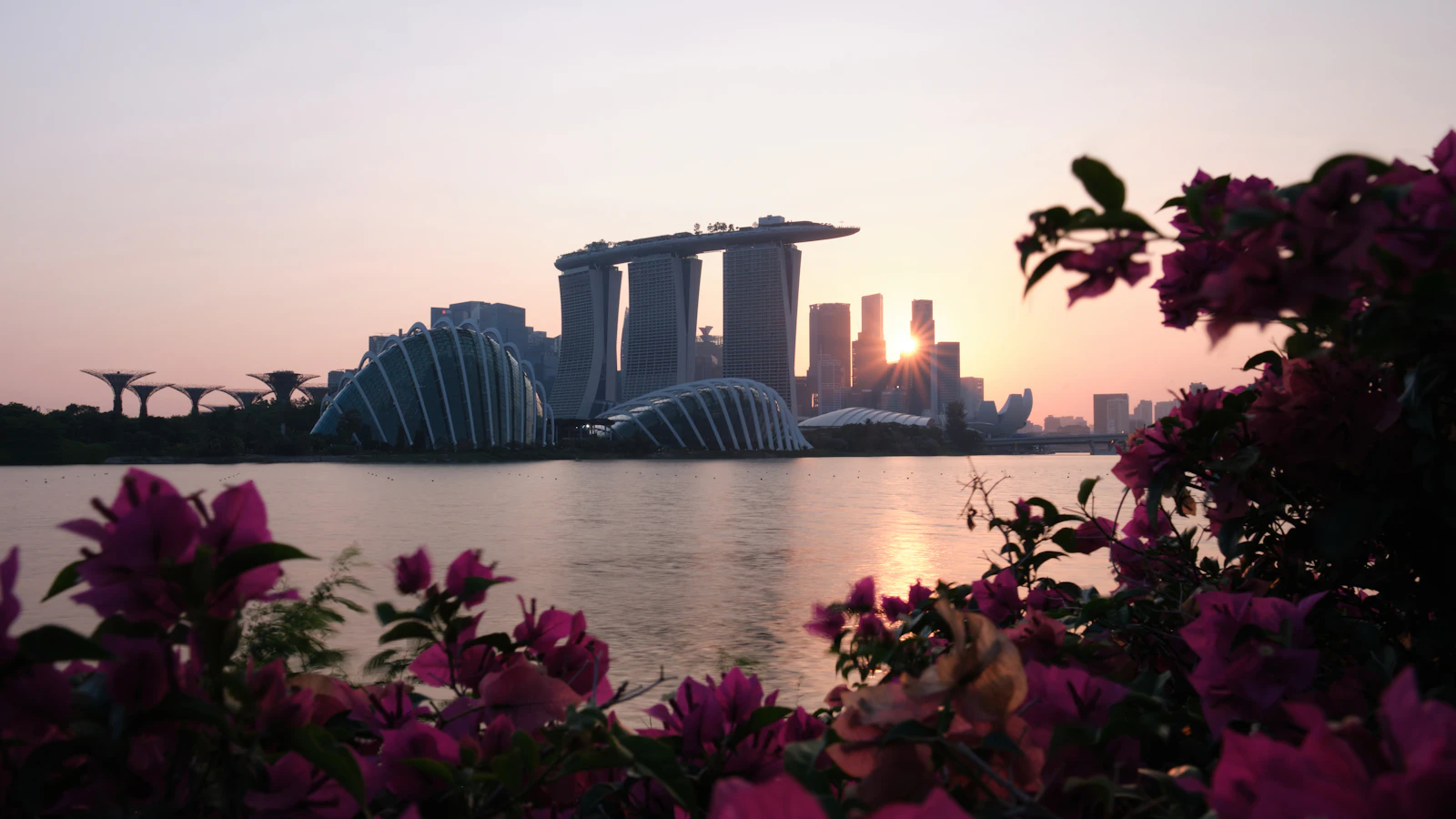Marina Bay Sands and the waterfront at sunset, framed by flowering greenery